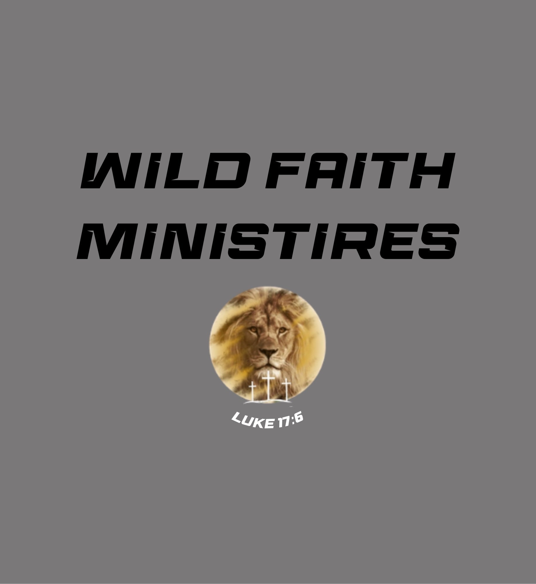 Wild Faith Ministries