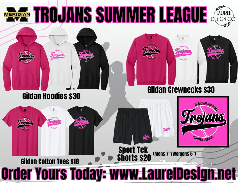 Meridian Softball Summer League