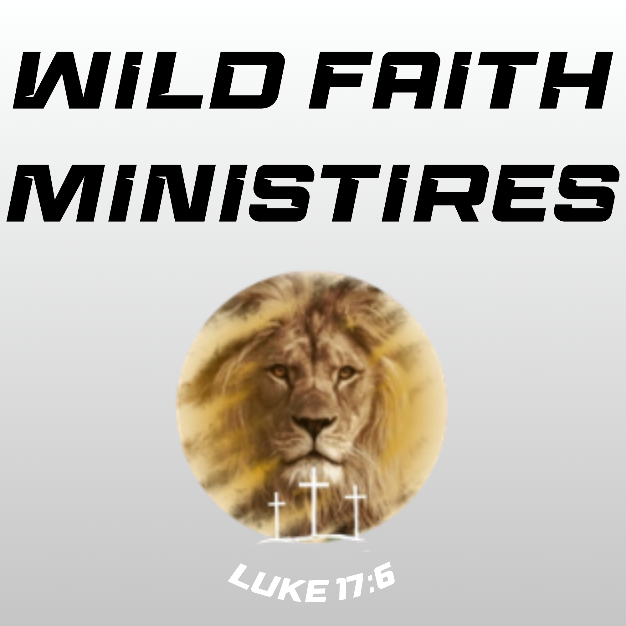 Wild Faith Ministries