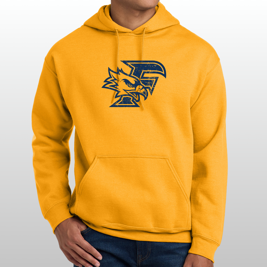 Ferndale Distressed Hoodie