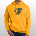 Ferndale Distressed Hoodie
