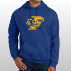 Ferndale Distressed Hoodie