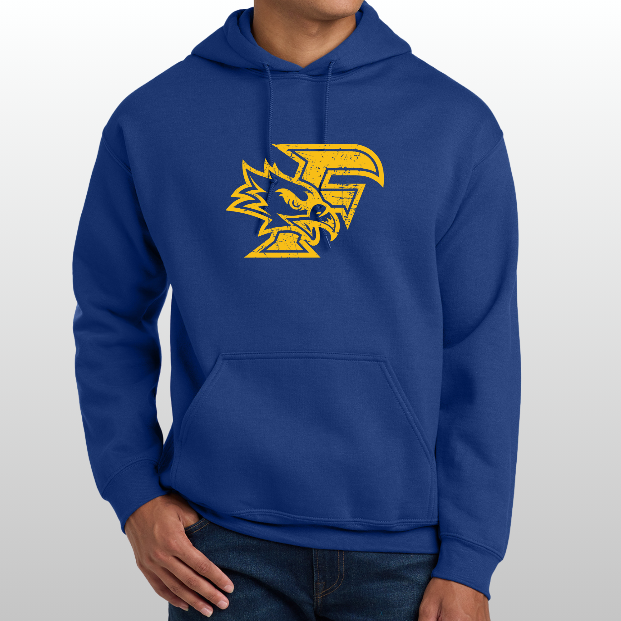 Ferndale Distressed Hoodie