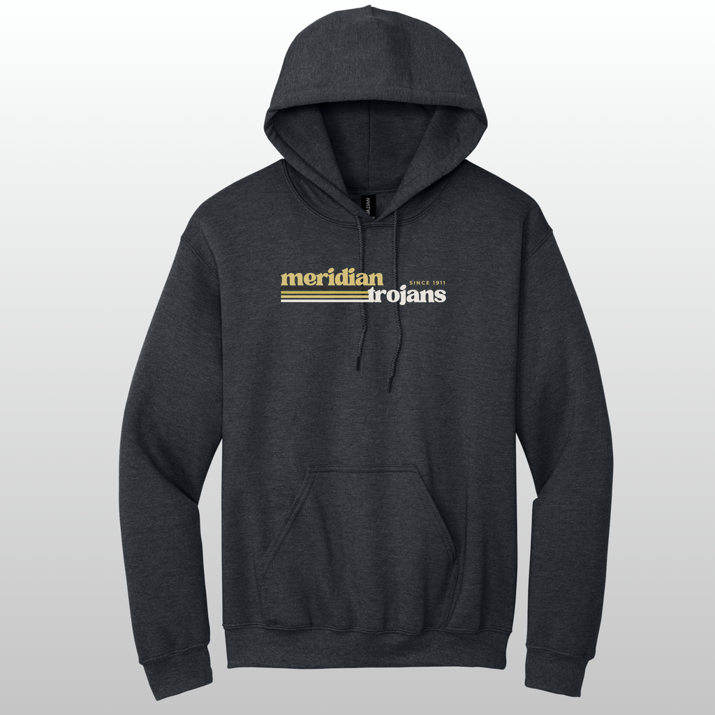 Meridian Retro Hoodie