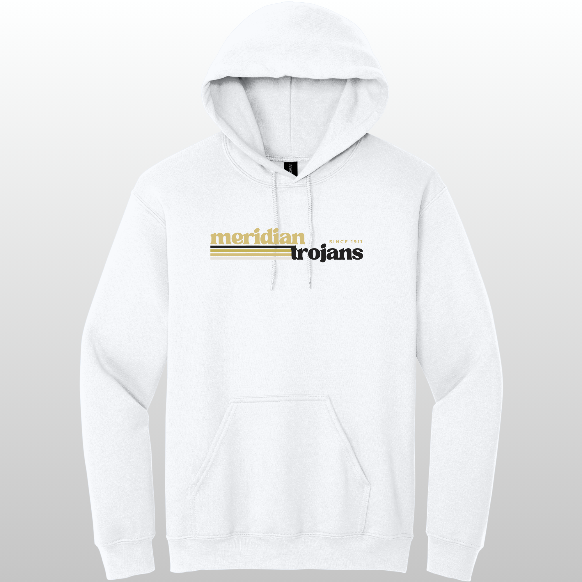 Meridian Retro Hoodie