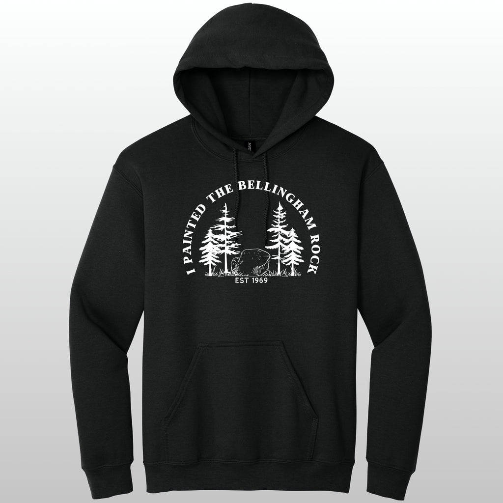 I Painted The Bellingham Rock - Hoodie