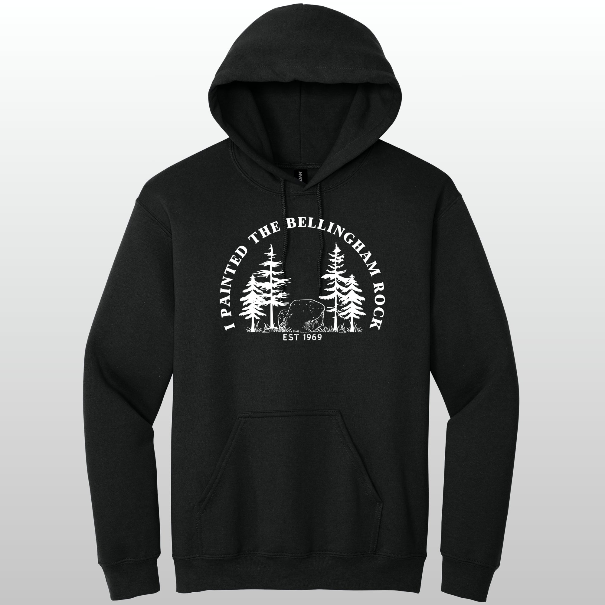 I Painted The Bellingham Rock - Hoodie