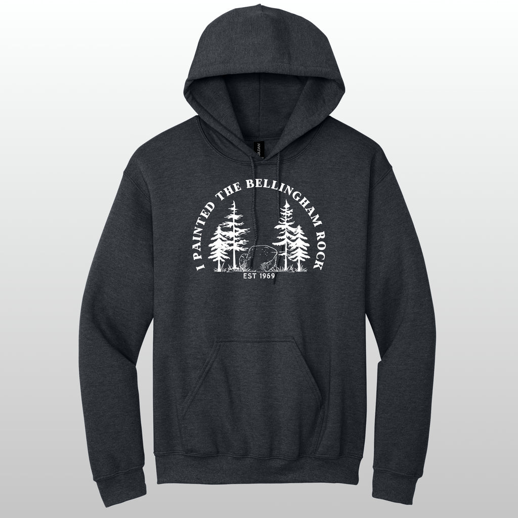 I Painted The Bellingham Rock - Hoodie