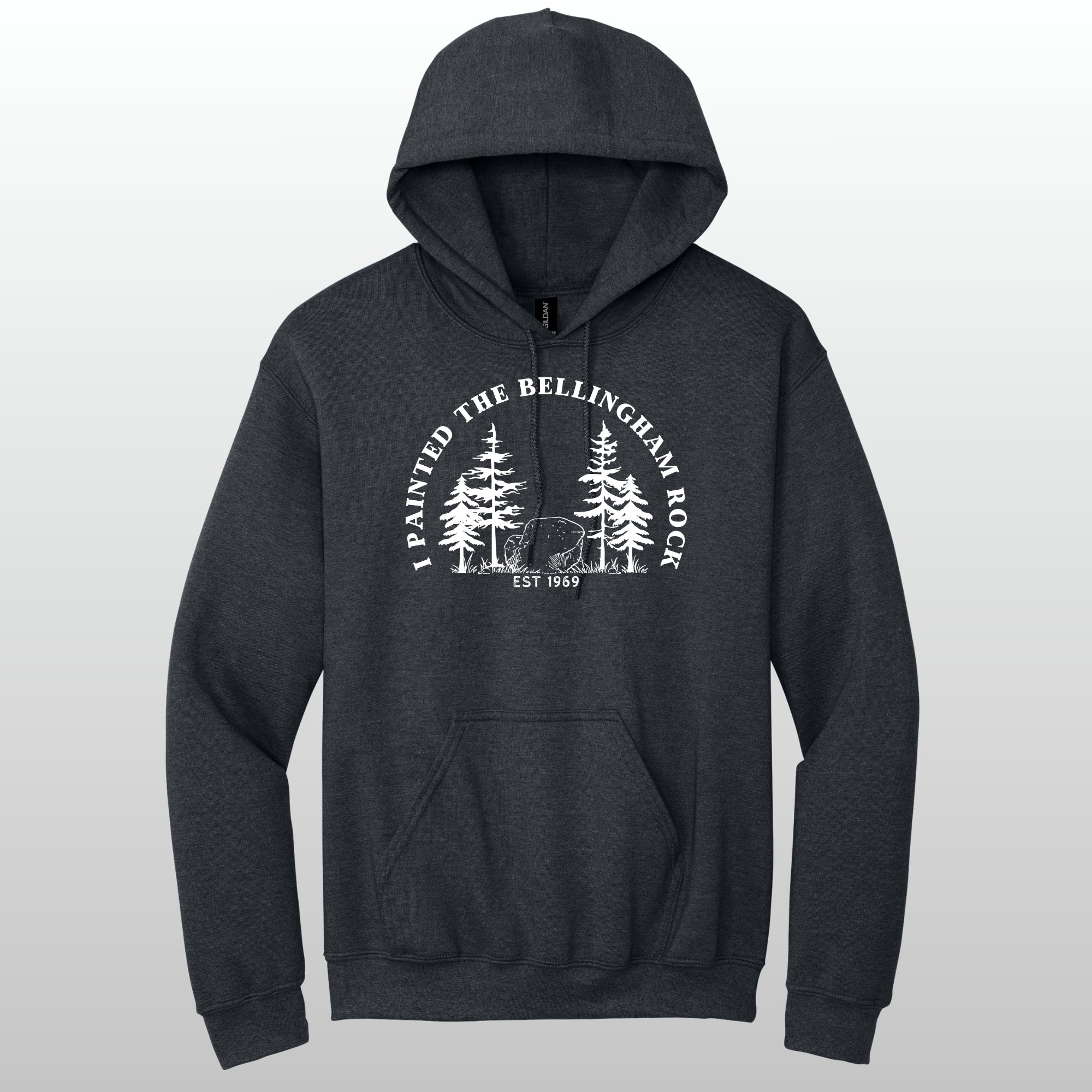 I Painted The Bellingham Rock - Hoodie