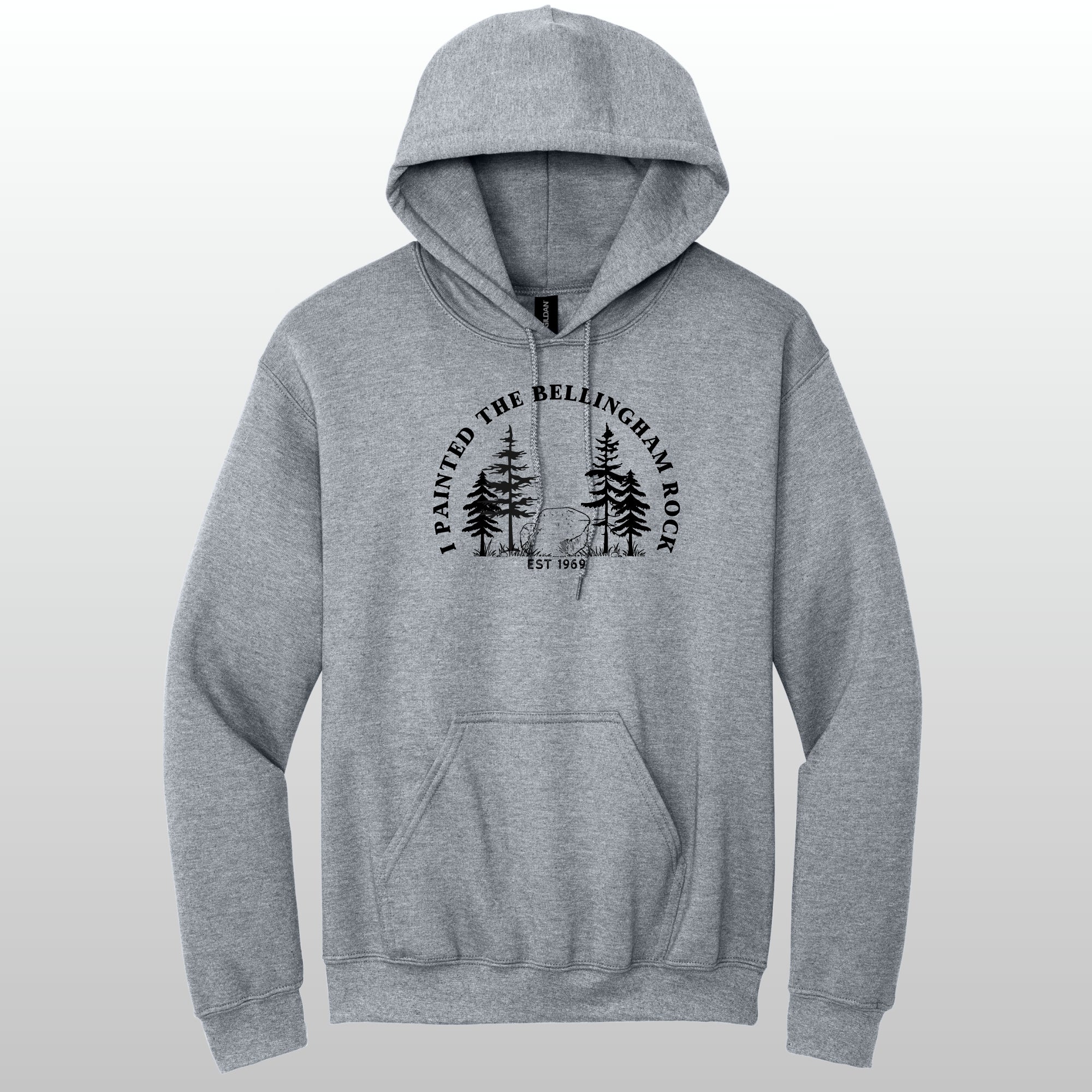 I Painted The Bellingham Rock - Hoodie