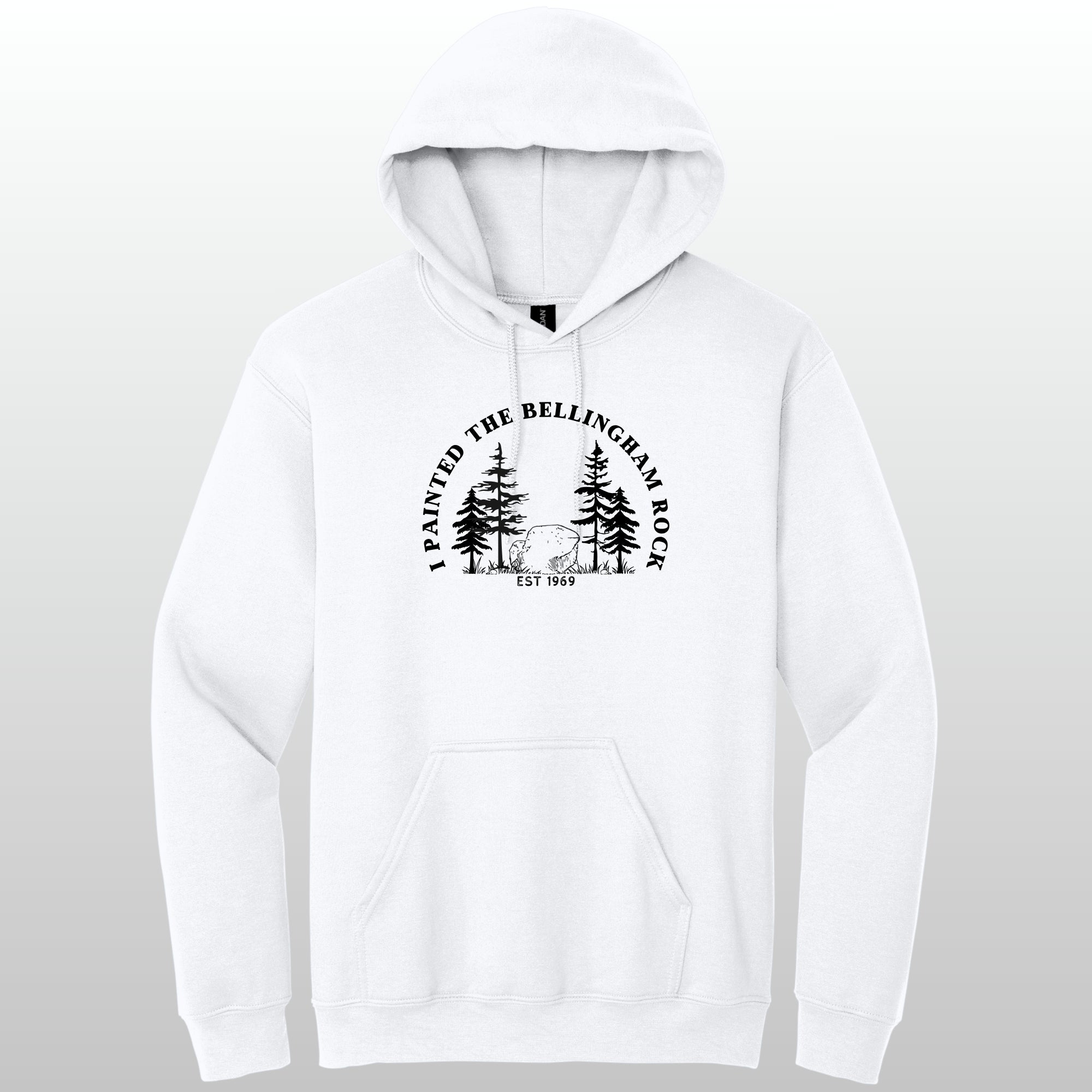 I Painted The Bellingham Rock - Hoodie