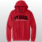 Mt Baker Hoodie #16