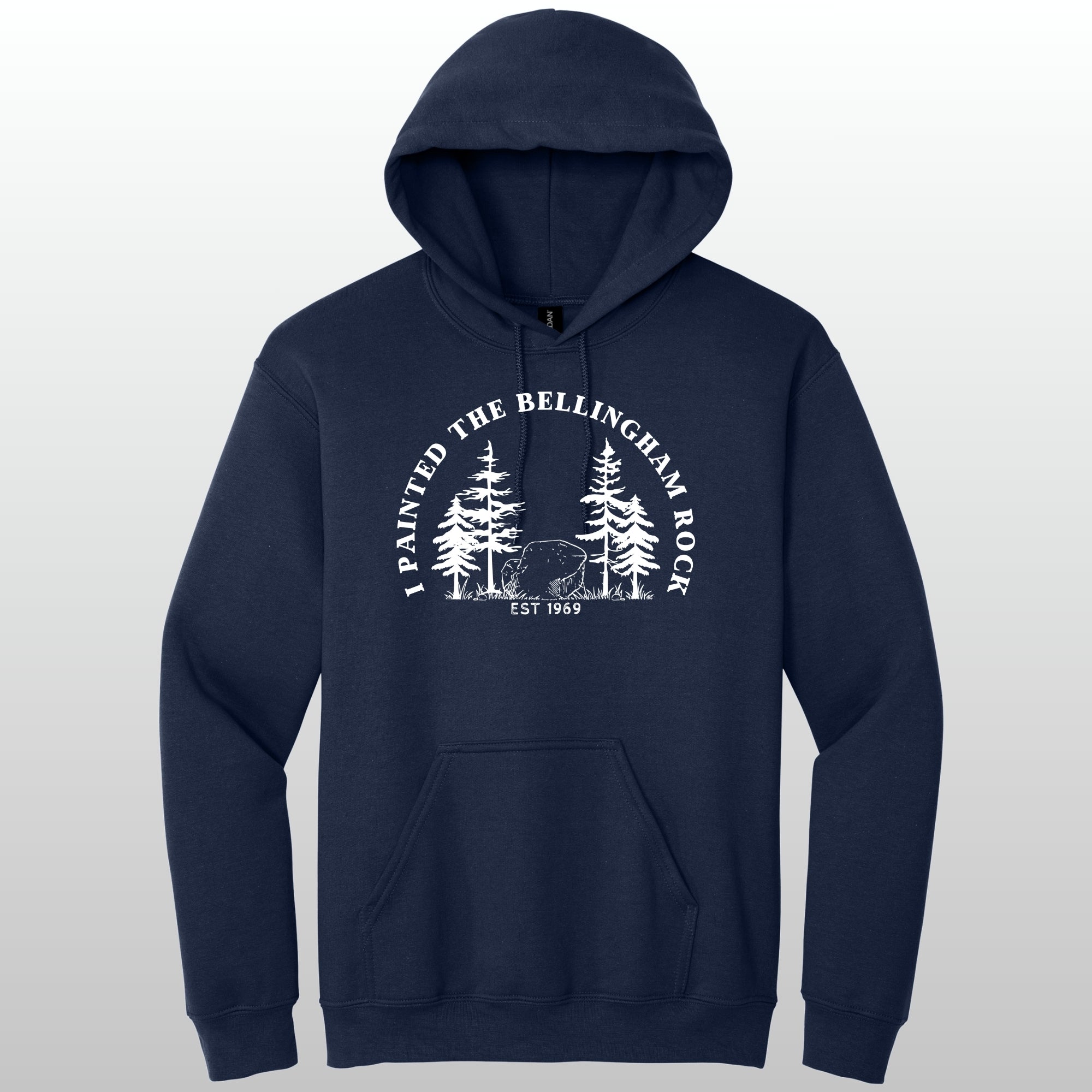 I Painted The Bellingham Rock - Hoodie