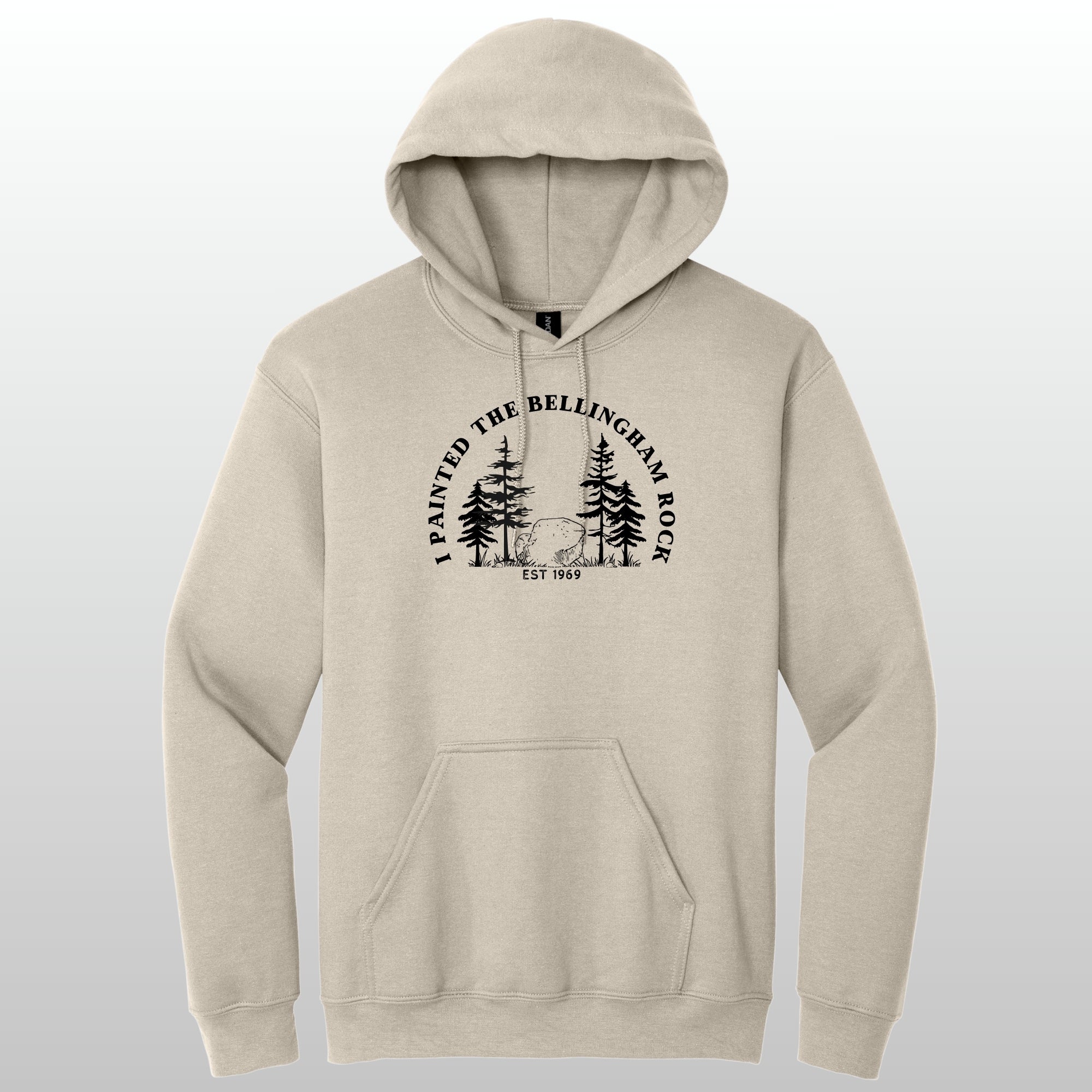 I Painted The Bellingham Rock - Hoodie