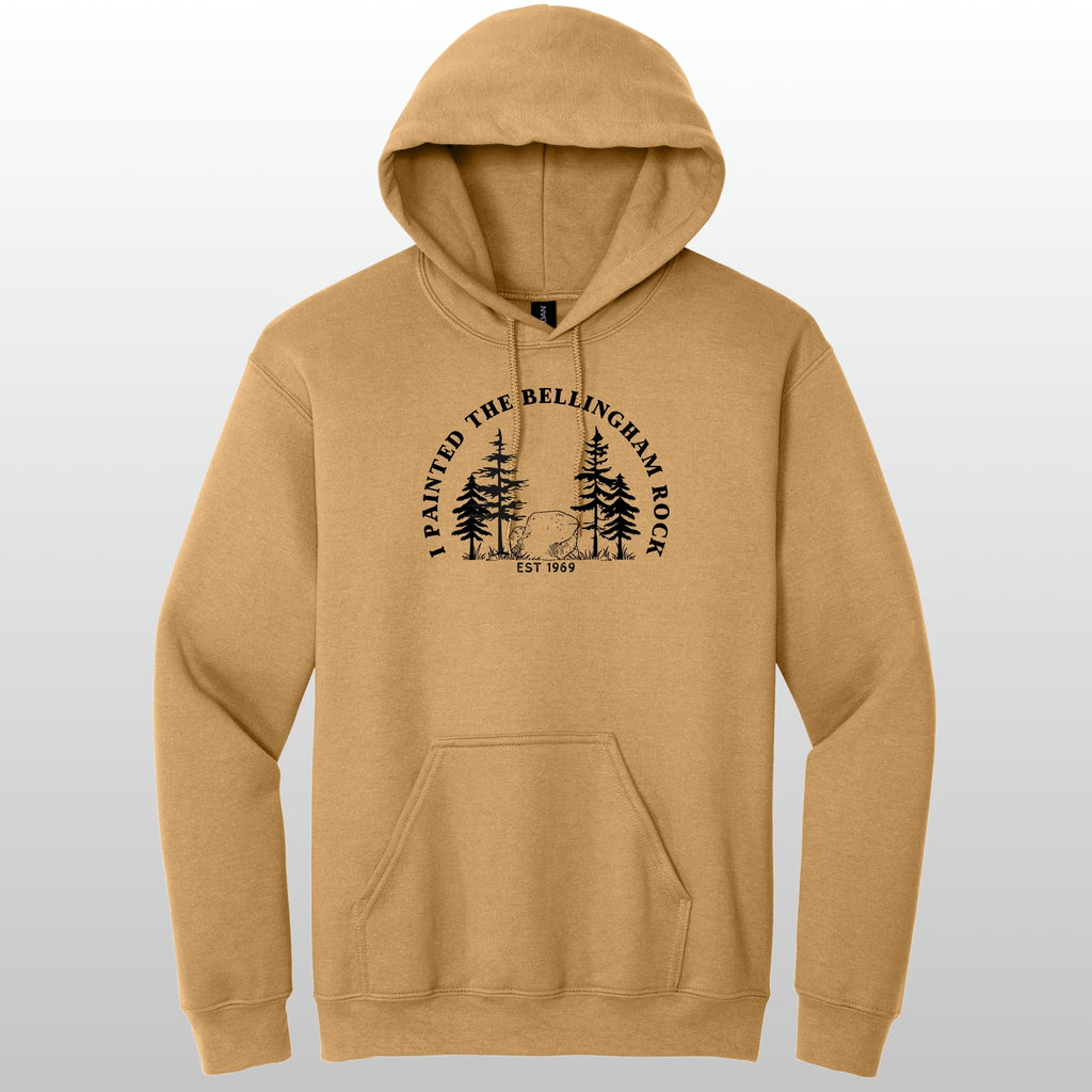 I Painted The Bellingham Rock - Hoodie