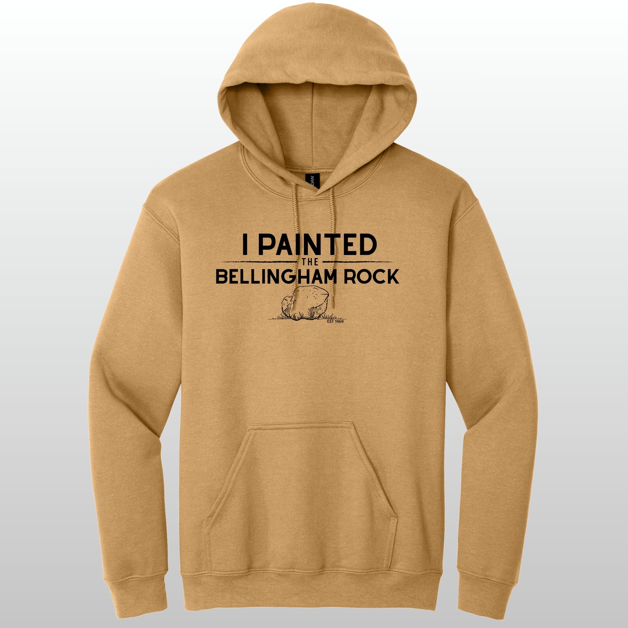 I Painted The Bellingham Rock #5 - Hoodie