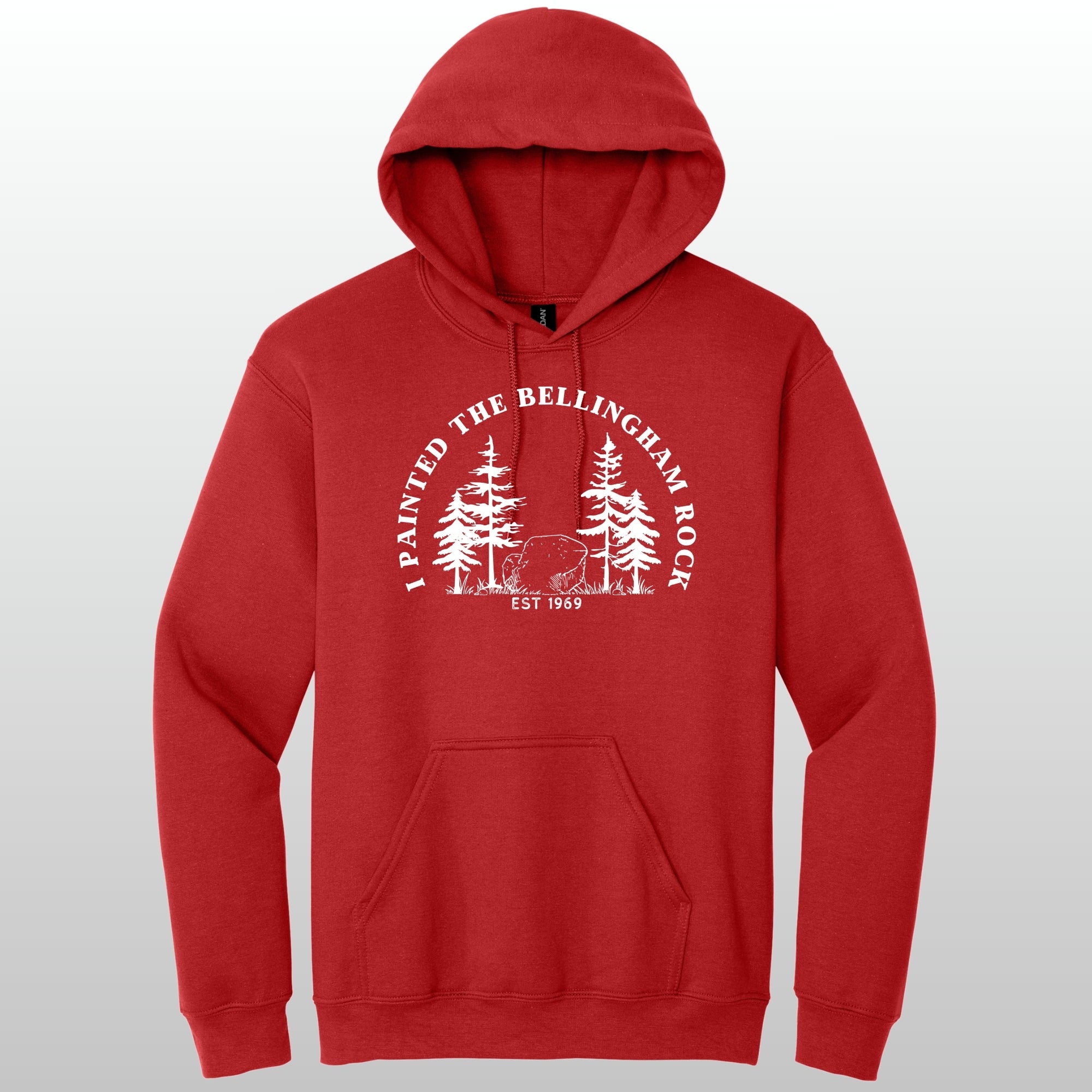 I Painted The Bellingham Rock - Hoodie
