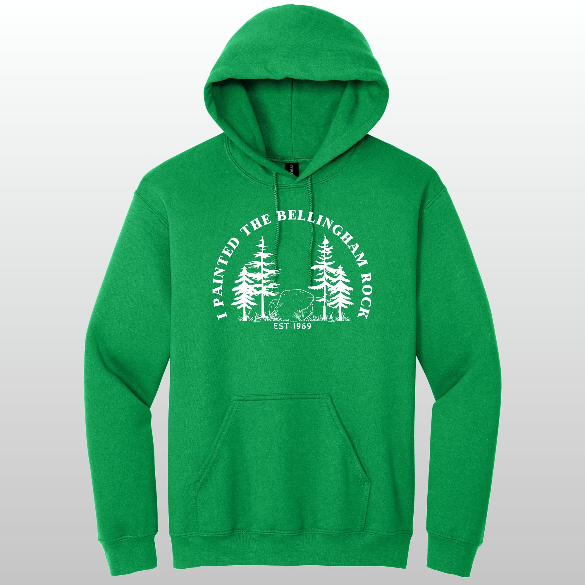 I Painted The Bellingham Rock - Hoodie