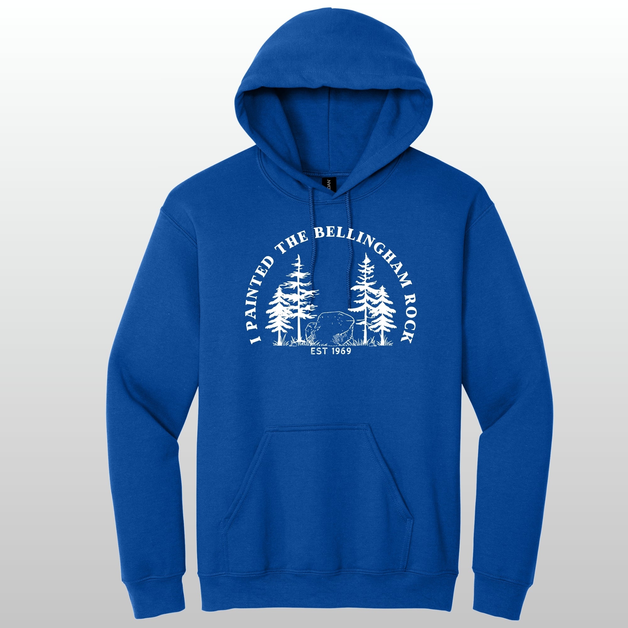 I Painted The Bellingham Rock - Hoodie