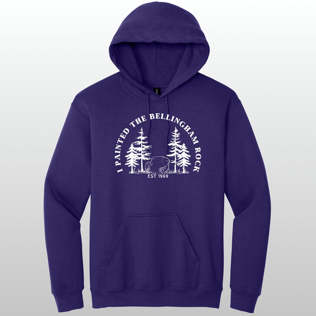 I Painted The Bellingham Rock - Hoodie