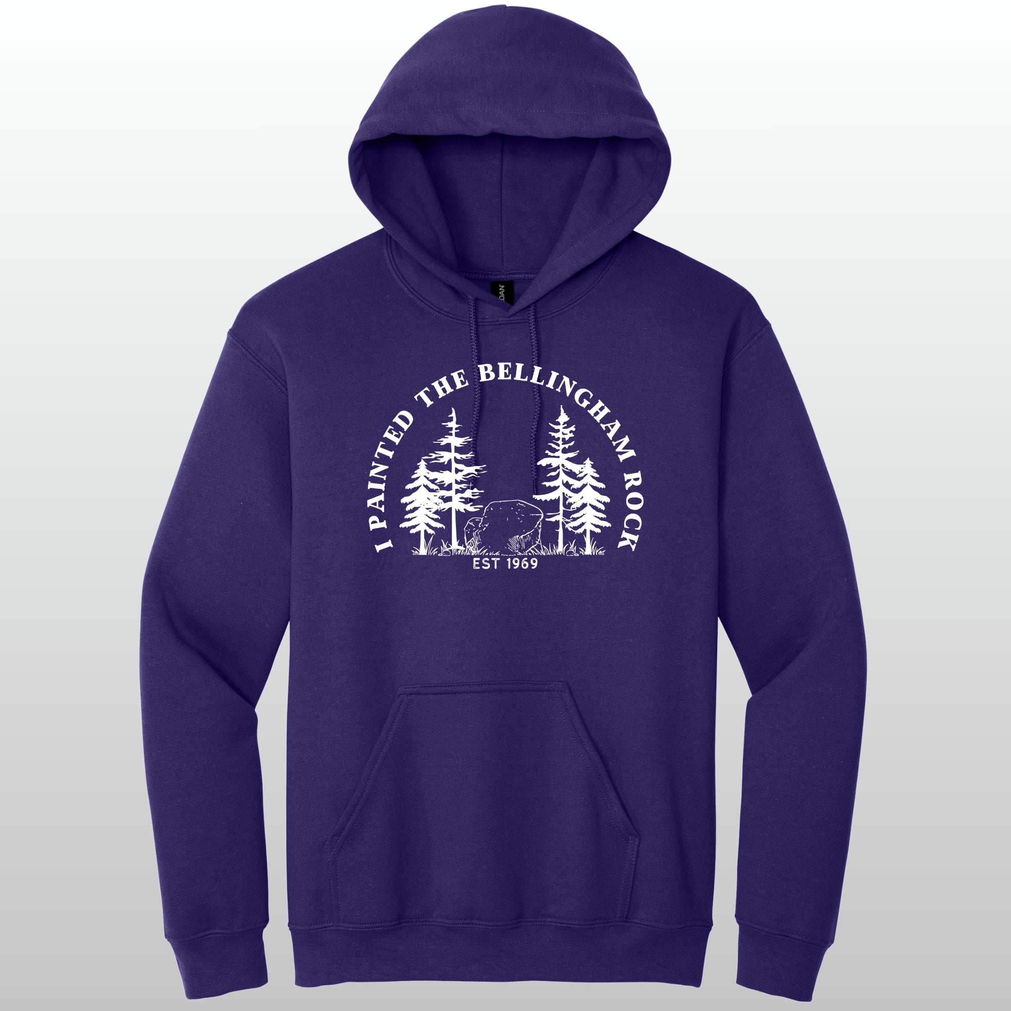 I Painted The Bellingham Rock - Hoodie