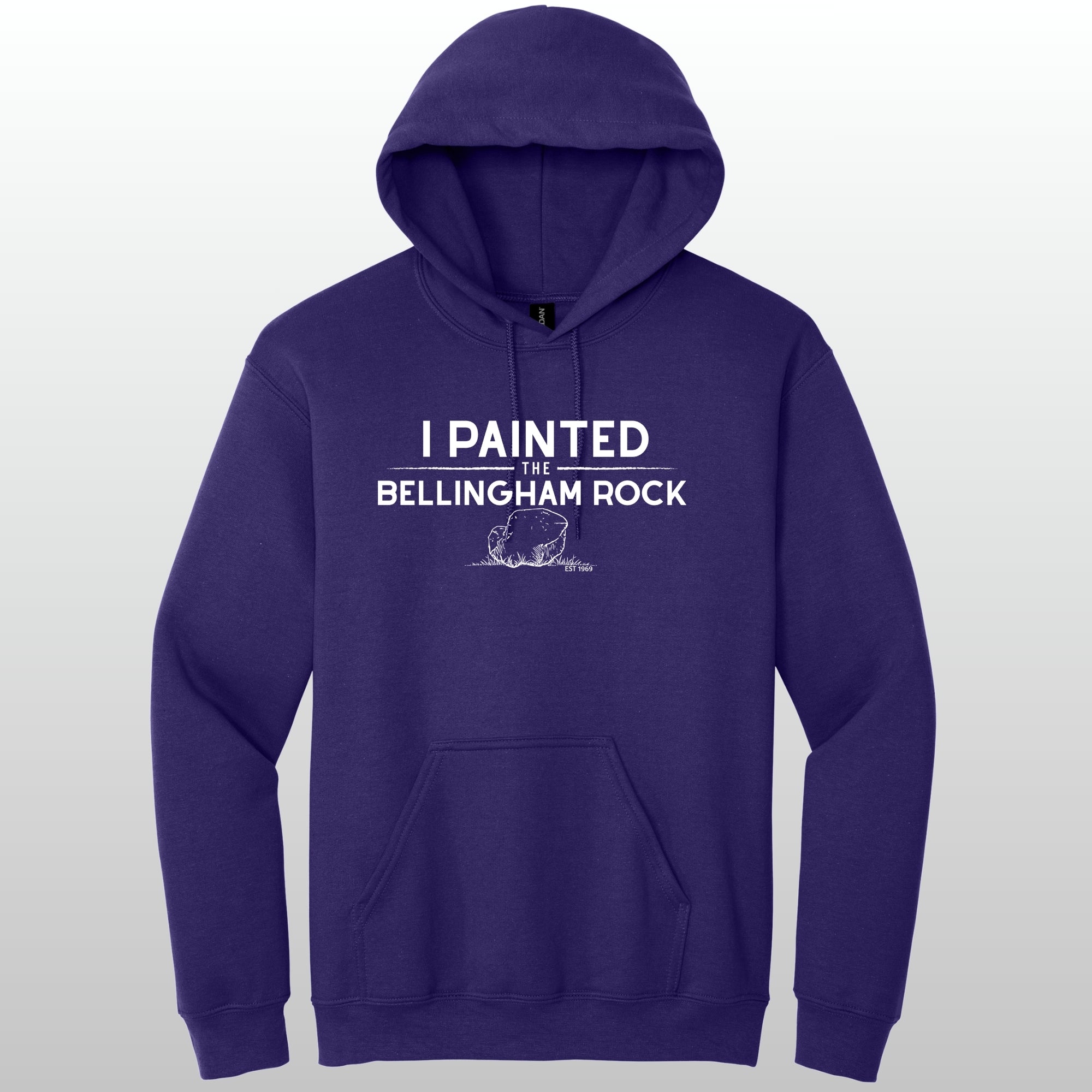 I Painted The Bellingham Rock #5 - Hoodie