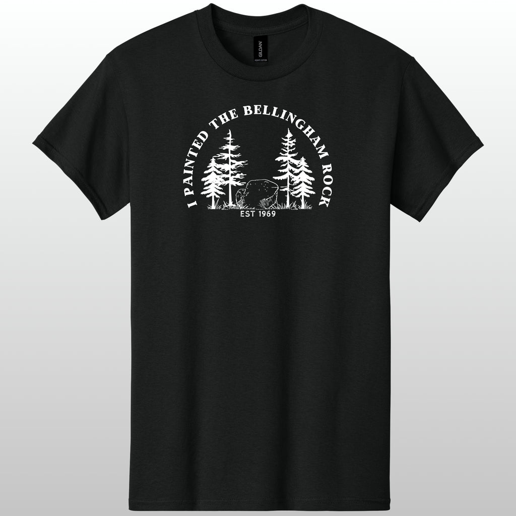 I Painted The Bellingham Rock Tshirt