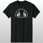 I Painted The Bellingham Rock Tshirt