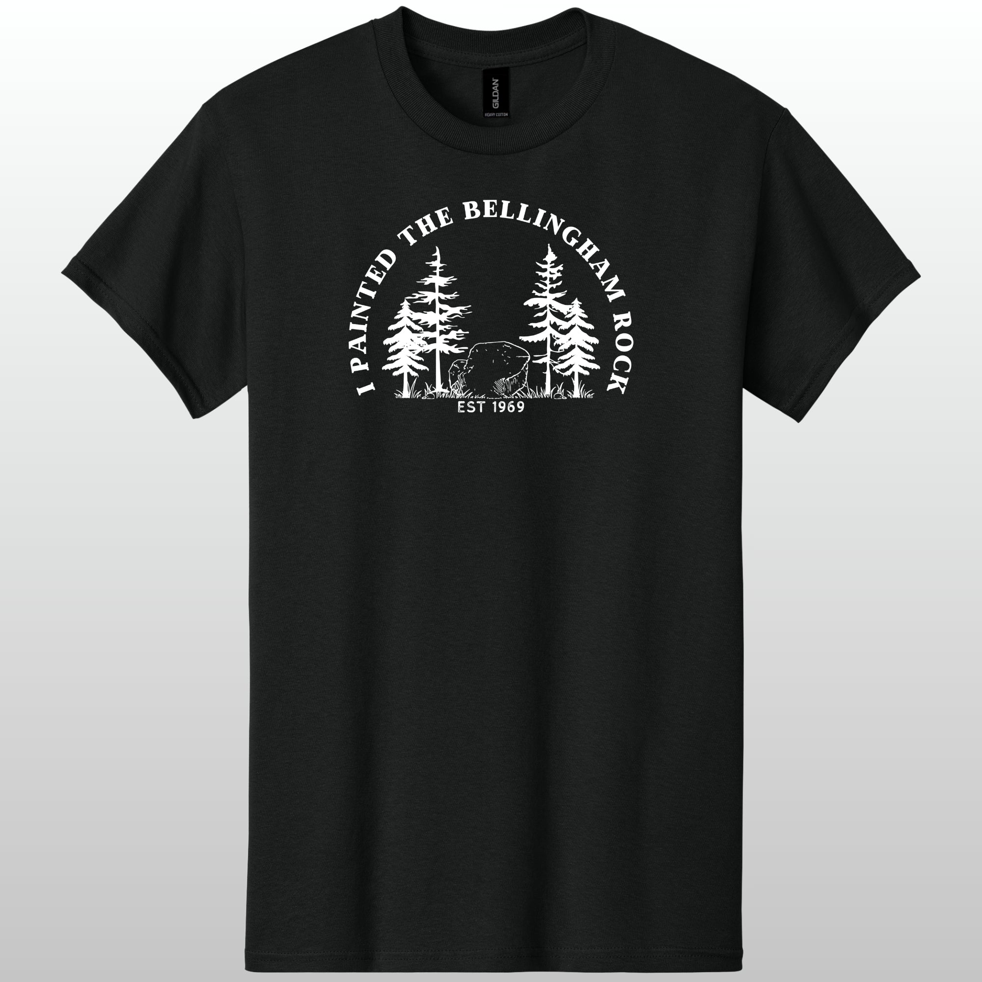 I Painted The Bellingham Rock Tshirt