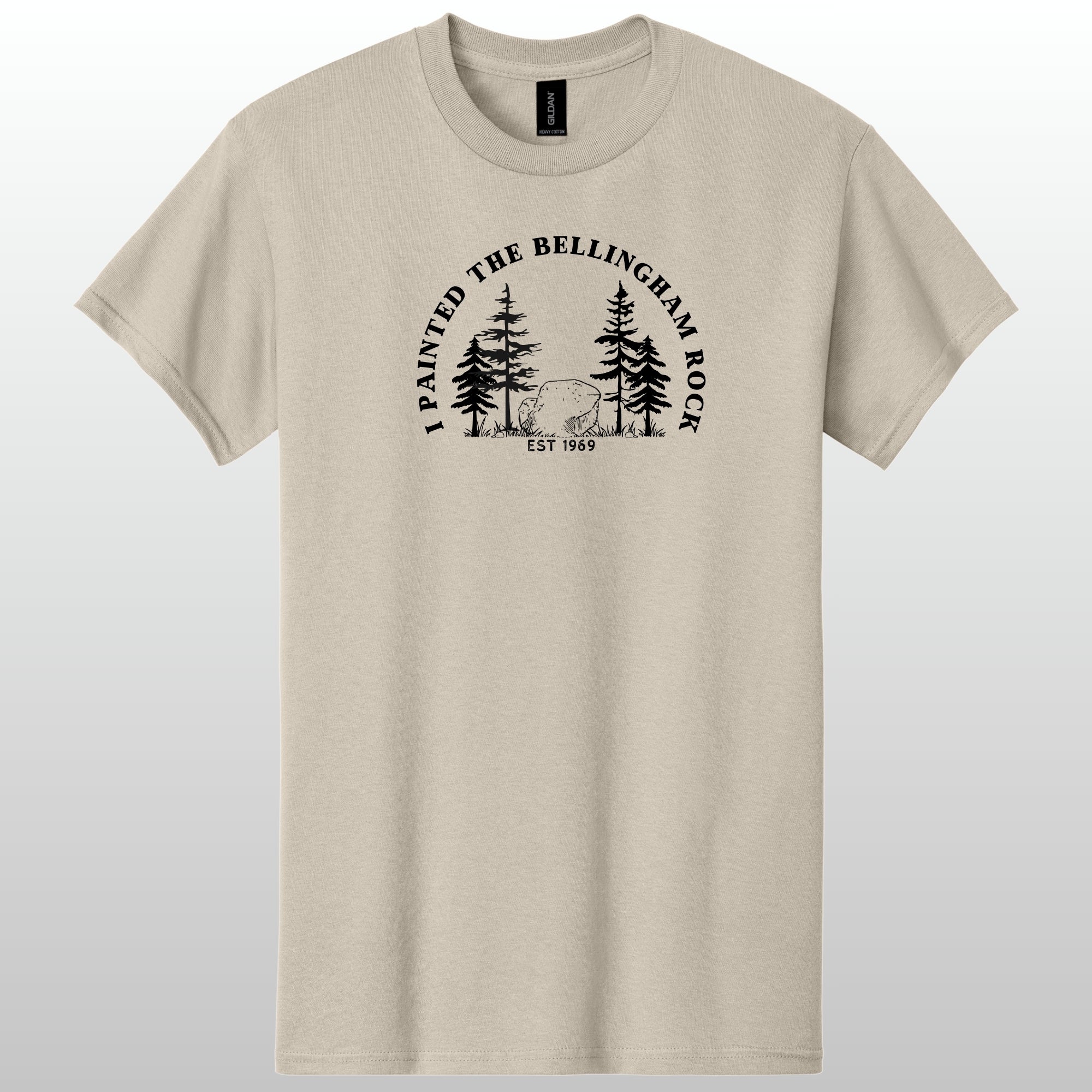 I Painted The Bellingham Rock Tshirt