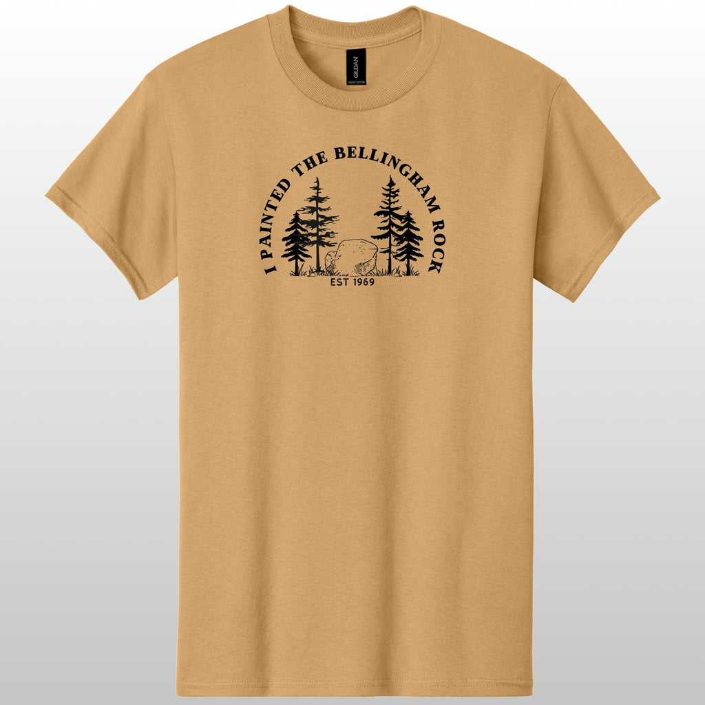 I Painted The Bellingham Rock Tshirt