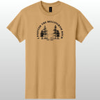 I Painted The Bellingham Rock Tshirt