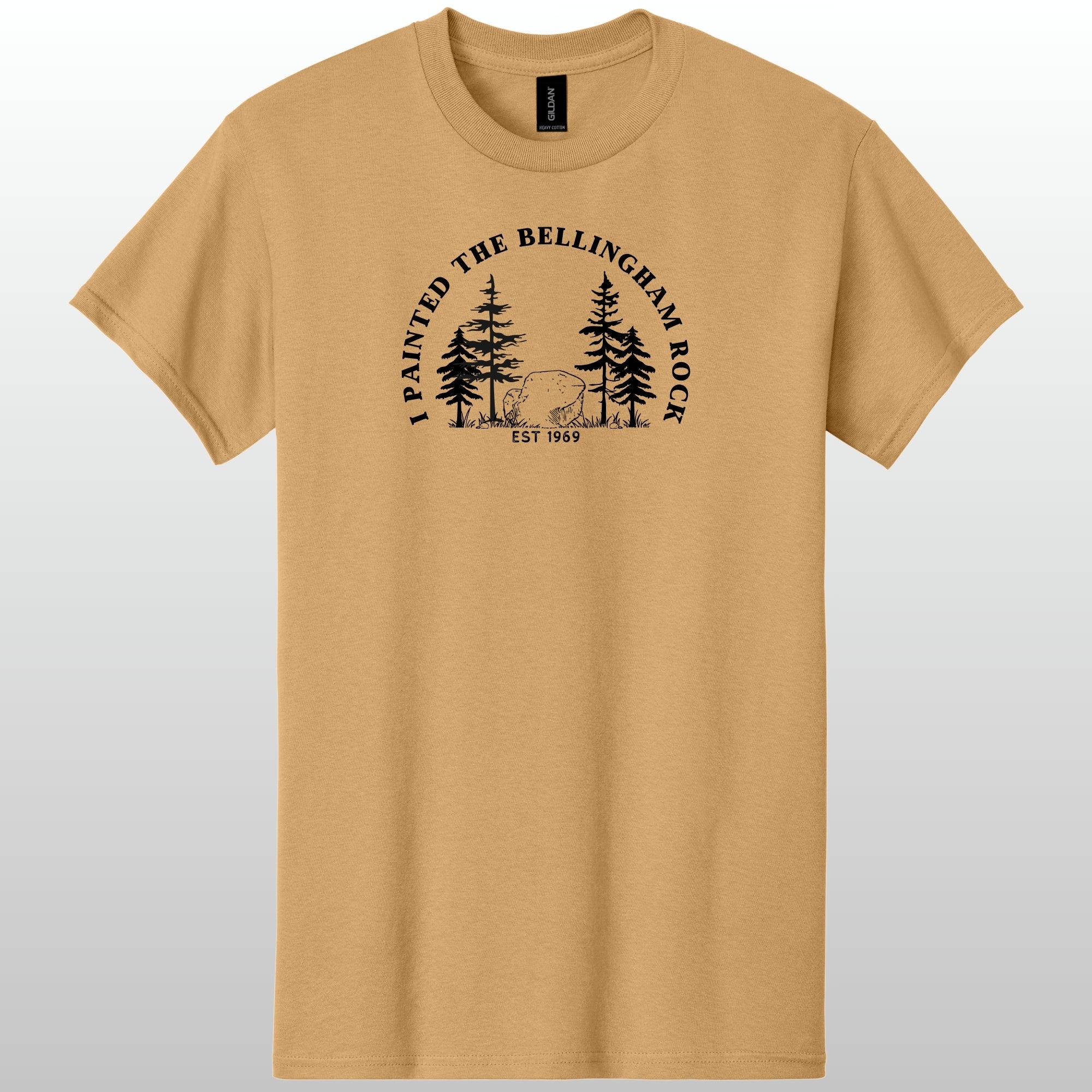 I Painted The Bellingham Rock Tshirt