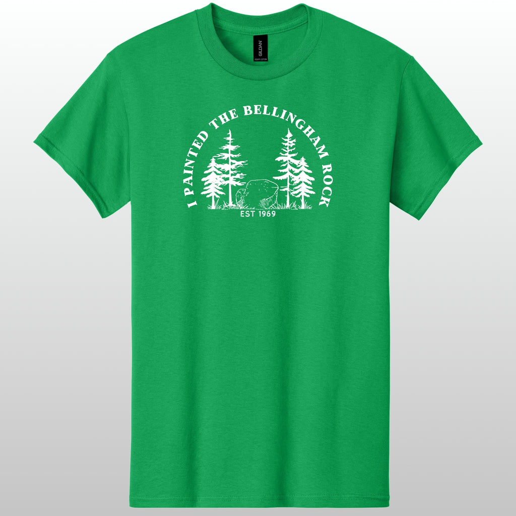 I Painted The Bellingham Rock Tshirt