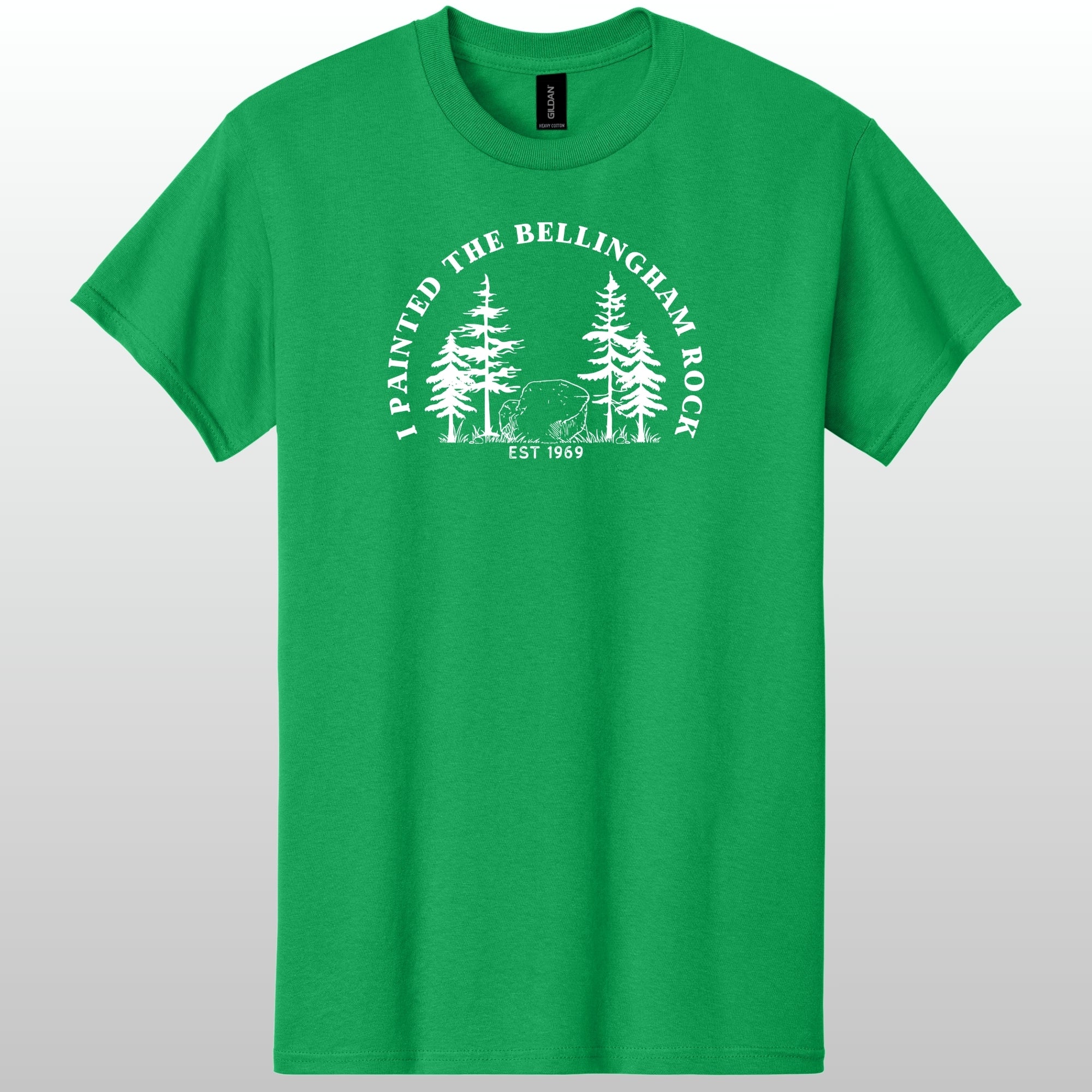 I Painted The Bellingham Rock Tshirt