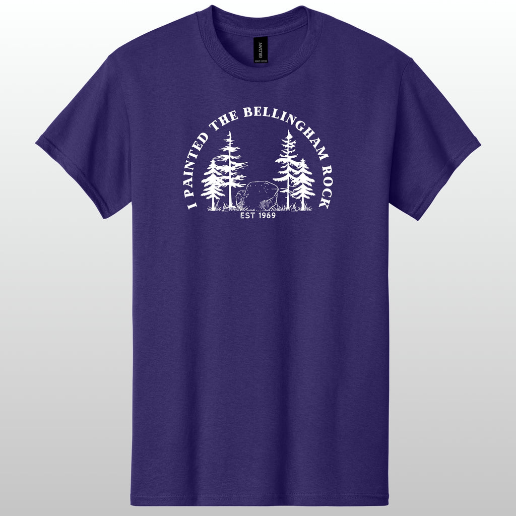 I Painted The Bellingham Rock Tshirt