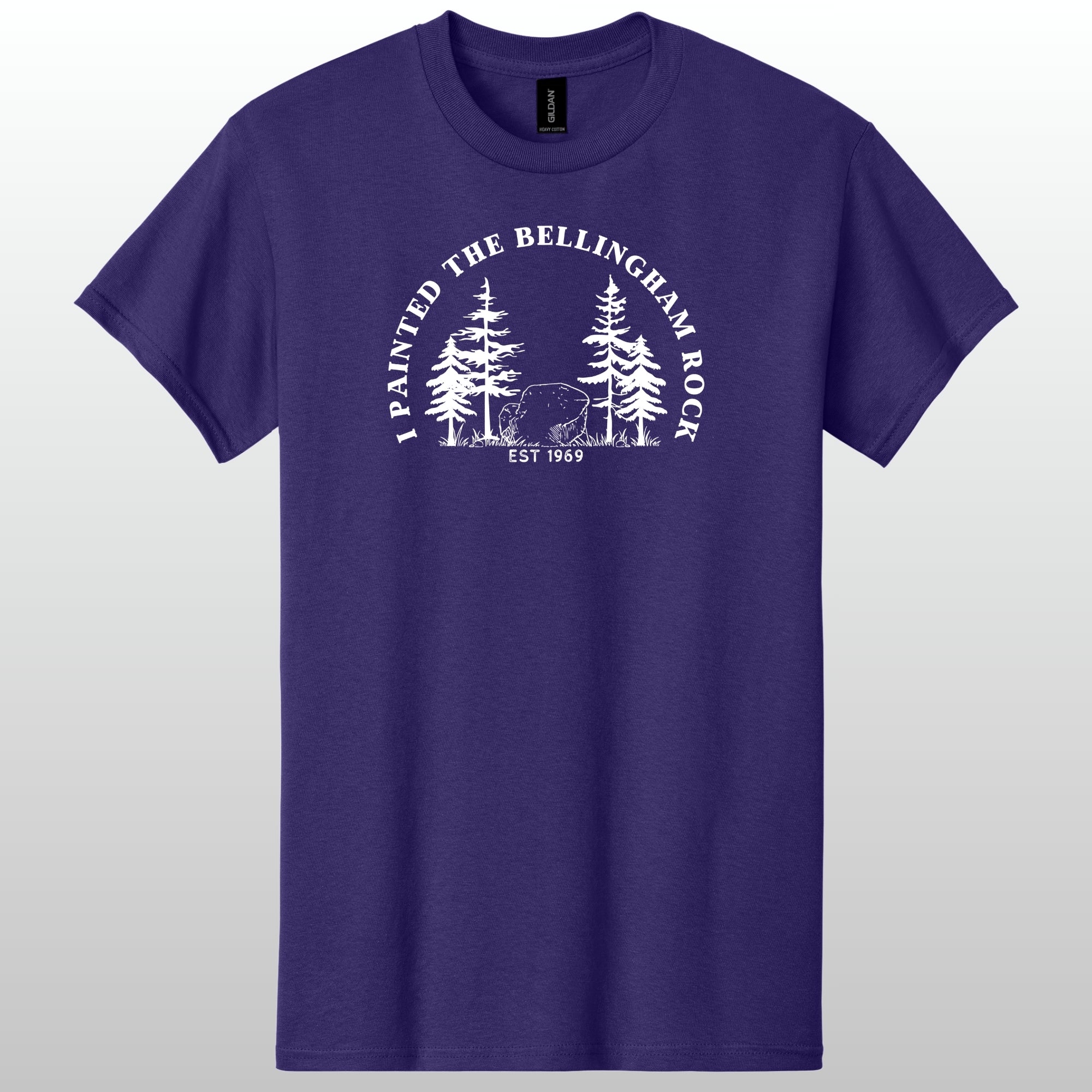 I Painted The Bellingham Rock Tshirt