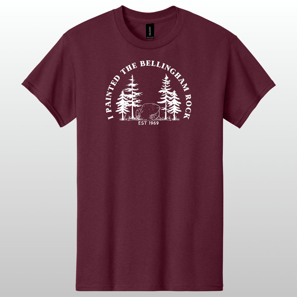 I Painted The Bellingham Rock Tshirt