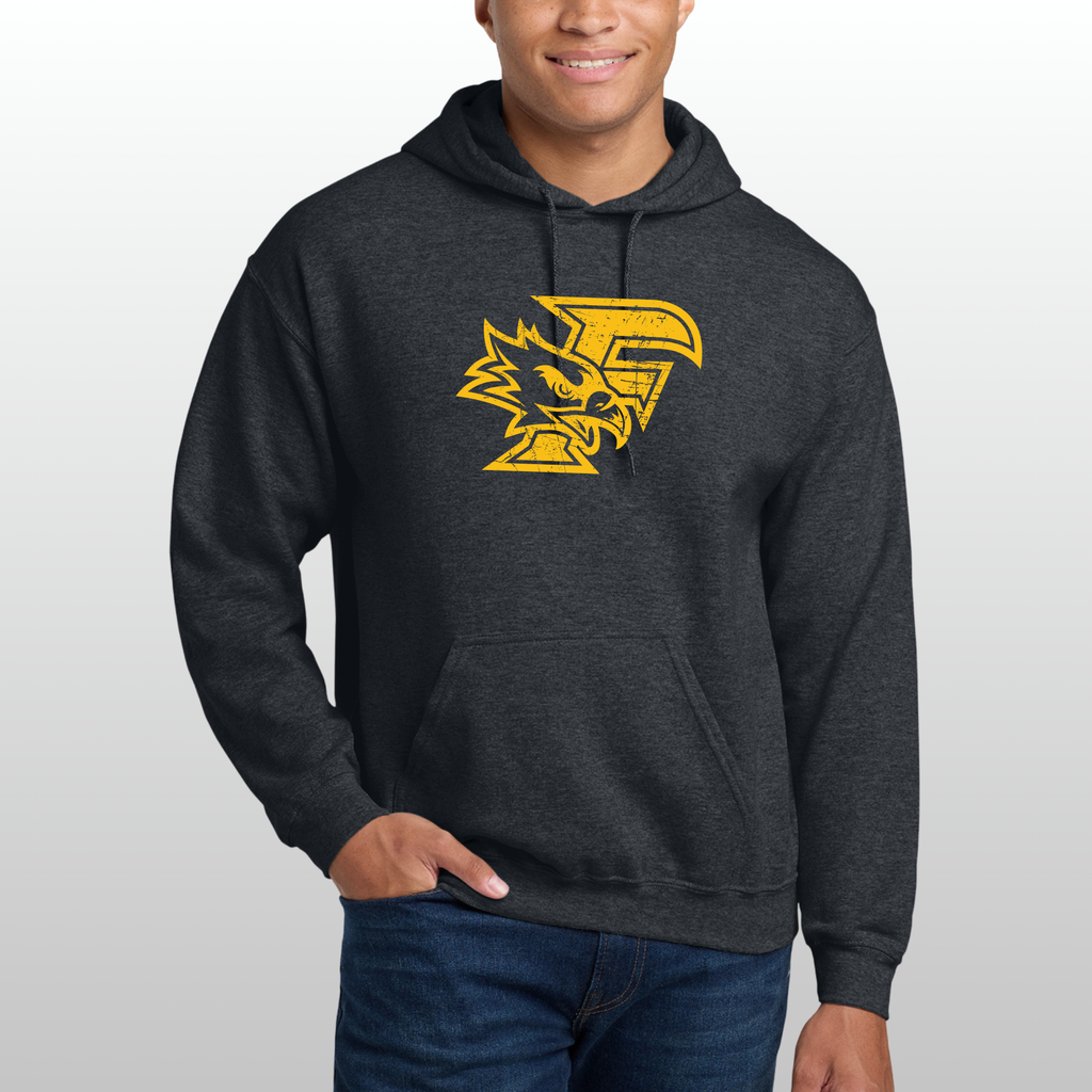 Ferndale Distressed Hoodie