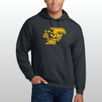 Ferndale Distressed Hoodie