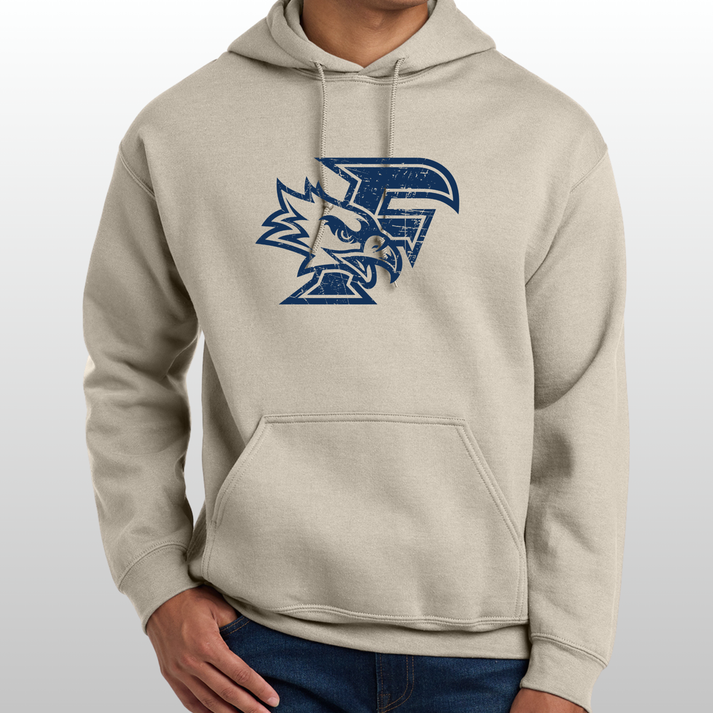 Ferndale Distressed Hoodie