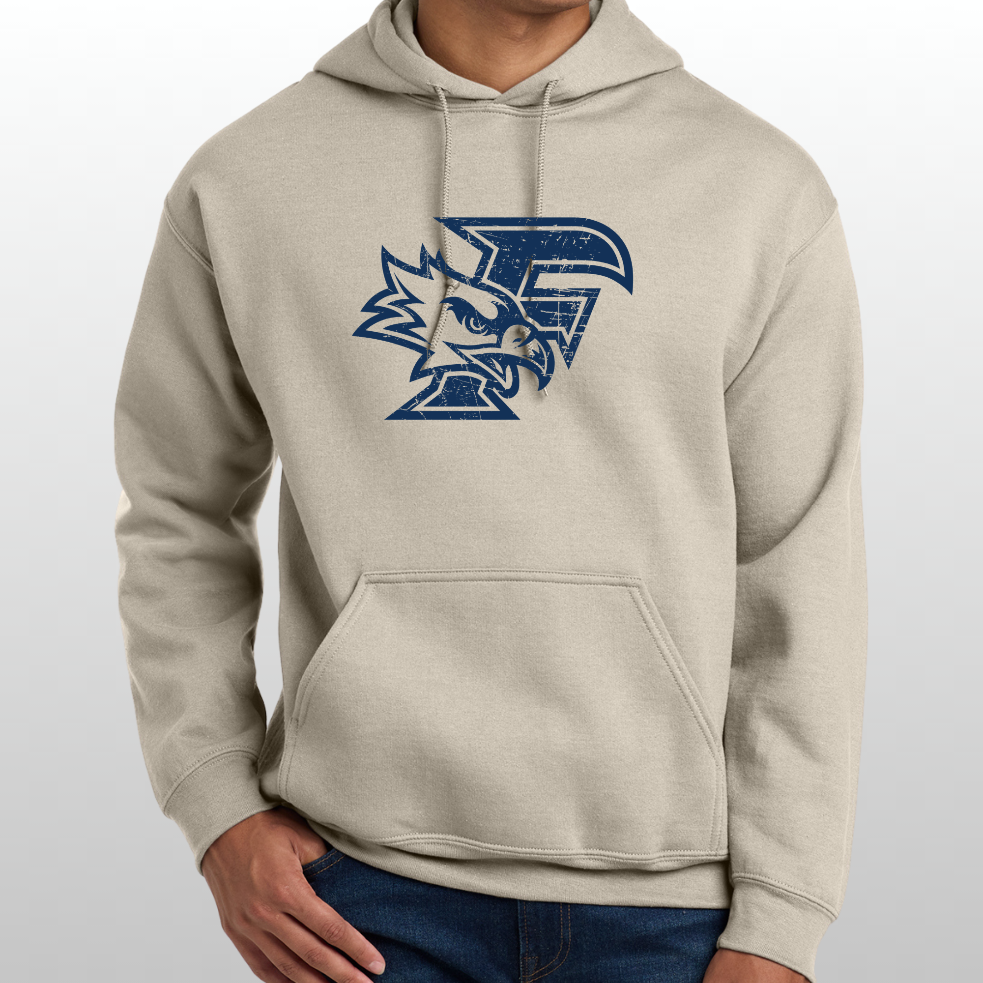 Ferndale Distressed Hoodie